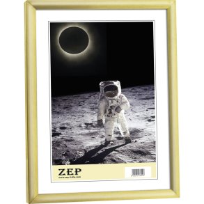 ZEP New Easy gold          13x18 Resin Frame KG2