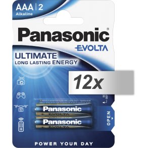 12x2 Panasonic Evolta LR 03 Micro                LR03EGE/2BP