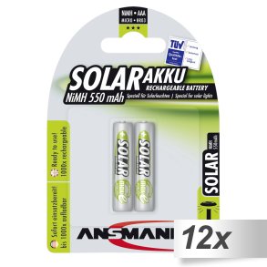 12x2 Ansmann maxE NiMH bat. Micro AAA 550 mAh SOLAR
