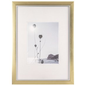 Walther Beyond DIN A3    29,7x42 Resin  champagne/gold  JI342C