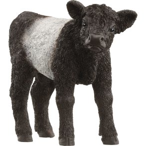 Schleich Farm World Galloway Calf              13969