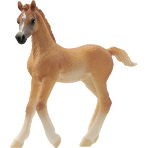 Schleich Horse Club        13984 Arabian Foal