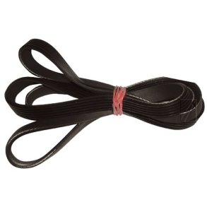 1244J5 POLY-V REM L =1244MM