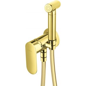 Concealed bidet mixer with bidetta shower head
