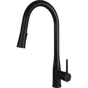 Kitchen faucet with pull-out spout