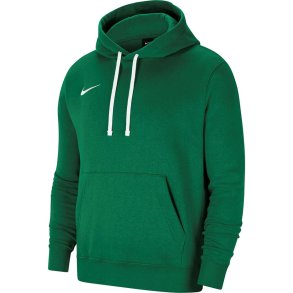 Men's Nike Team Club 20 Hoodie green CW6894 302