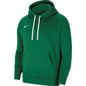 Nike Park 20 Hoodie green CW6957 302