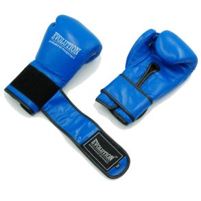Evolution professional boxing gloves made of natural leather PRO RB-1510,1512 blue
