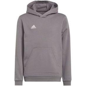 Sweatshirt for kids adidas Entrada 22 Hoody gray H57515 152cm