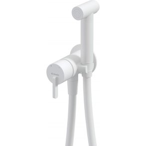 Concealed bidet mixer with bidetta receiver