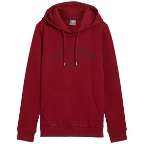 Puma Ess+ Logo LAB Hoodie FL burgundy 682987 13 L