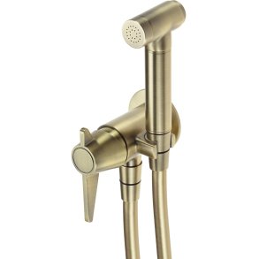 Concealed bidet mixer with bidetta receiver