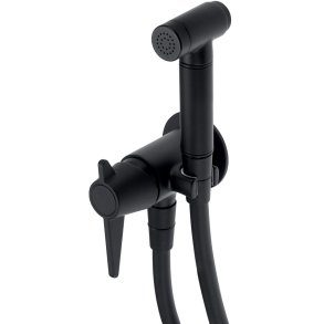 Concealed bidet mixer with bidetta receiver