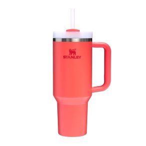 Stanley Quencher H2.O FlowState 1.18L Mug
