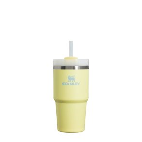 Stanley Quencher Cup 0.6L Pomelo
