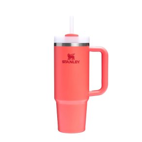 Stanley Quencher Mug 0.89L Hot Coral