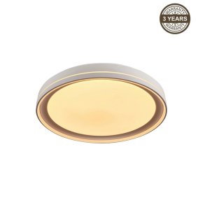 Ceiling Lamp LED B2361-1L-R 49CM 45W
