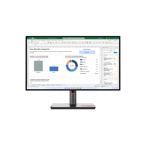 LENOVO ThinkVision P27h-30 27inch Monitor