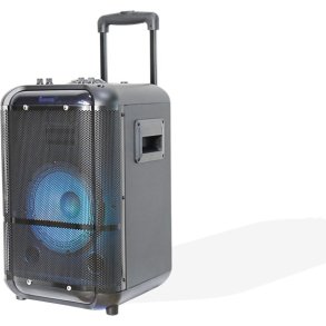 Denver TSP-306 Public Address (PA) hjttaler