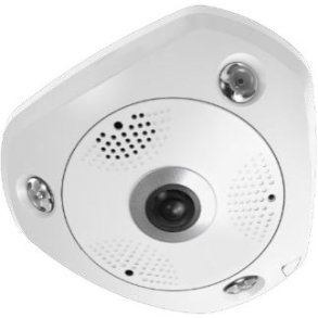 LevelOne FCS-3095 overv�gningskamera Sf�risk IP-sikkerhedskamera Indend�rs & udend�rs 4000 x 3000 pixel Loft/v�g/skrivebord