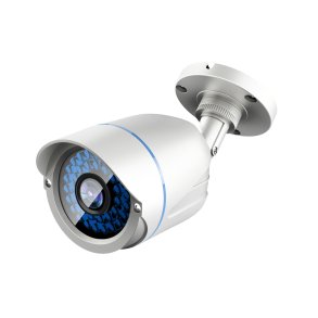 LevelOne ACS-5602 overv�gningskamera Kugle (form) CCTV sikkerhedskamera Udend�rs Loft/v�g
