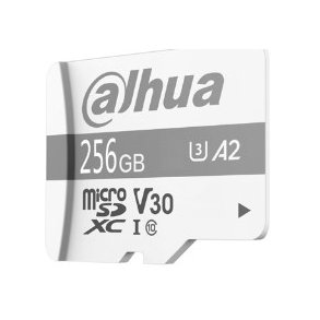 Dahua Technology P100 256 GB MicroSD UHS-I Klasse 10
