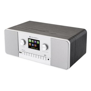 GoGen IR 257 BTDAB Internet Digital S�lv