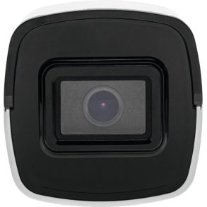 ABUS TVIP68511 overv�gningskamera Kugle (form) IP-sikkerhedskamera Indend�rs & udend�rs 3840 x 2160 pixel Loft