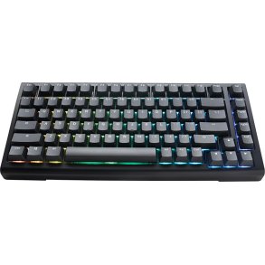 Ducky Tinker 75 tastatur Spil USB Tysk Sort