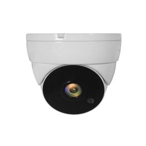 LevelOne ACS-5302 overv�gningskamera Kuppel CCTV sikkerhedskamera Indend�rs & udend�rs Loft