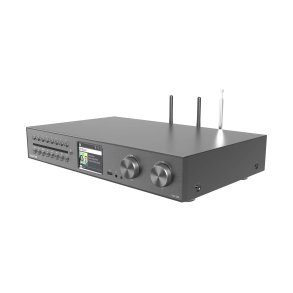 Telestar 5700550 radio Internet Digital Sort, Metallic