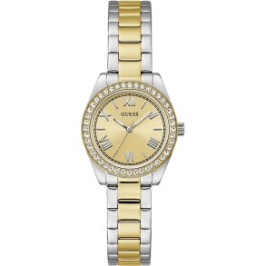 Herreur Guess GW0841L2
