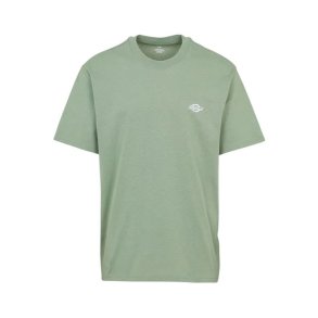 Kort�rmet T-shirt til M�nd Dickies Summerdale Akvamarin