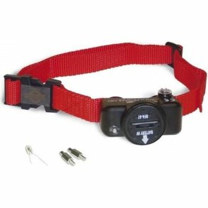 Hundehalsbnd PetSafe rouge