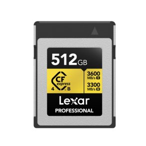 SD-hukommelseskort Lexar LCXEXP4512G-RNENG 512 GB