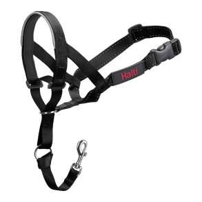 Hundetrning kraver Company of Animals Halti Sort Mundkurv (29-36 cm)