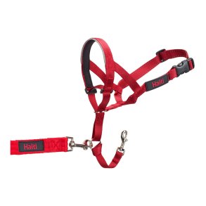 Hundetrning kraver Company of Animals Halti Mundkurv (31-40 cm)