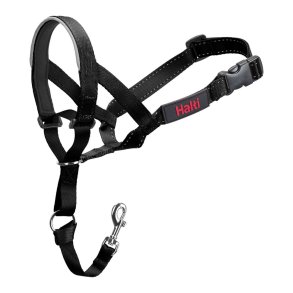 Hundetrning kraver Company of Animals Halti Sort Mundkurv (35-48 cm)