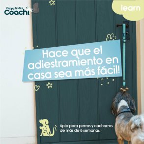 Hundesele Coachi