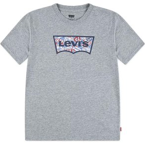 B�rne Kort�rmet T-shirt Levi's Lvb On The Road Batwing Lysegr�