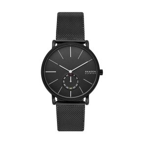 Herreur Skagen HAGEN ( 40 mm)