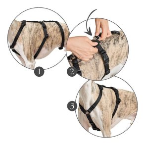 Hundesele Hunter 38-52 cm Brun Sort XS/S