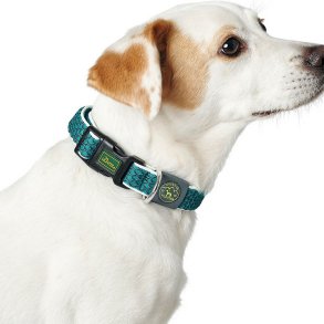 Hundehalsbnd Hunter Basic Gevind Strrelse M Lime (33-50 cm)