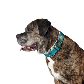 Hundehalsbnd Hunter Plus Gevind turquoise Turkisbl Strrelse XL (45-70 cm)