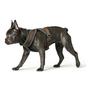 Hundesele Hunter London Comfort 52-62 cm Brun Strrelse S/M