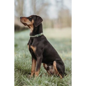 Hundehalsbnd Hunter Grn 40-55 cm L