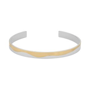 Armbnd til kvinder Skagen SKJ1704998.M