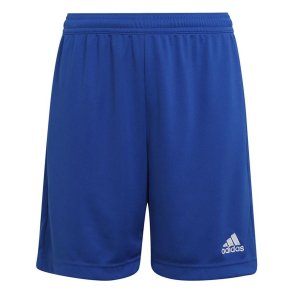 Sport Shorts Adidas Ent22 Y Bl�