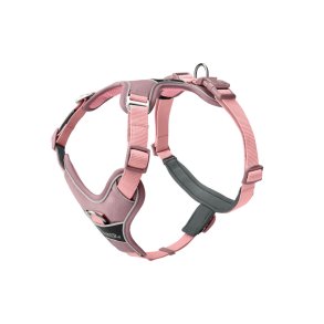 Hundesele Hunter DIVO UP Pink XS