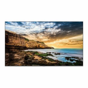 Videovg Monitor Samsung LH55QETELGC 4K Ultra HD 55